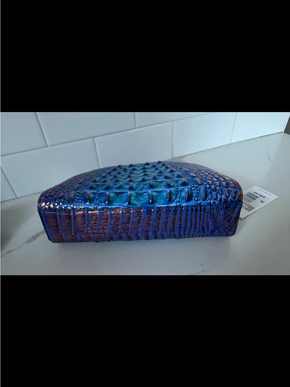 Brahmin Dany deep azure cosmetics Case